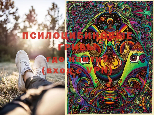 ПСИЛОЦИБИНОВЫЕ ГРИБЫ Балахна