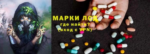 эйфоретик Баксан