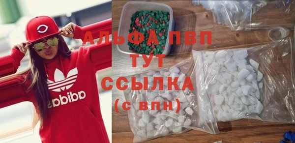 эйфоретик Баксан