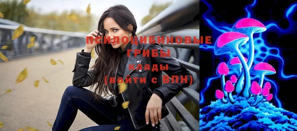 ПСИЛОЦИБИНОВЫЕ ГРИБЫ Балахна