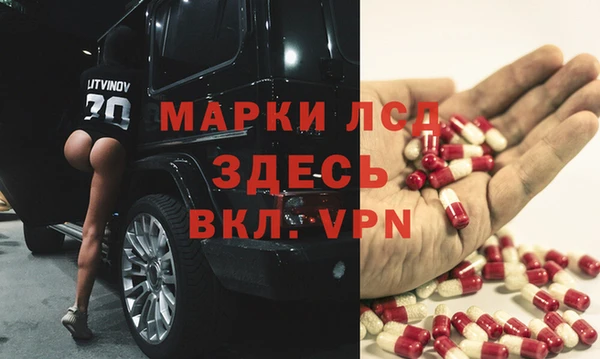 эйфоретик Баксан