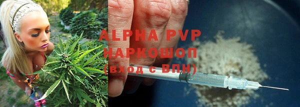 ПСИЛОЦИБИНОВЫЕ ГРИБЫ Балахна