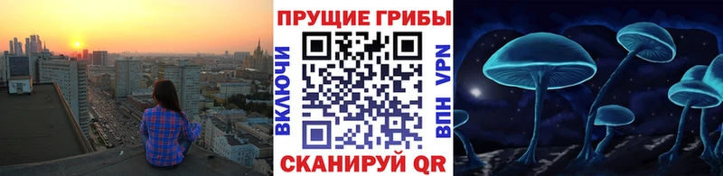 shop клад  Вяземский  Псилоцибиновые грибы MAGIC MUSHROOMS 