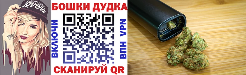 Бошки Шишки индика  Вяземский 